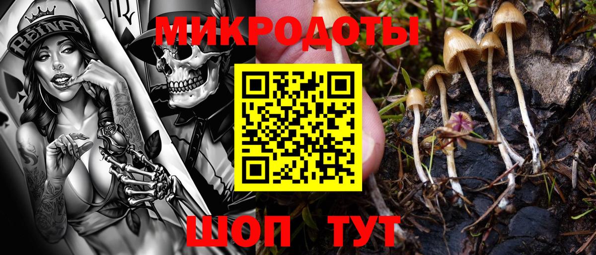 Псилоцибиновые грибы мухоморы  Вход с VPN  Амурск 