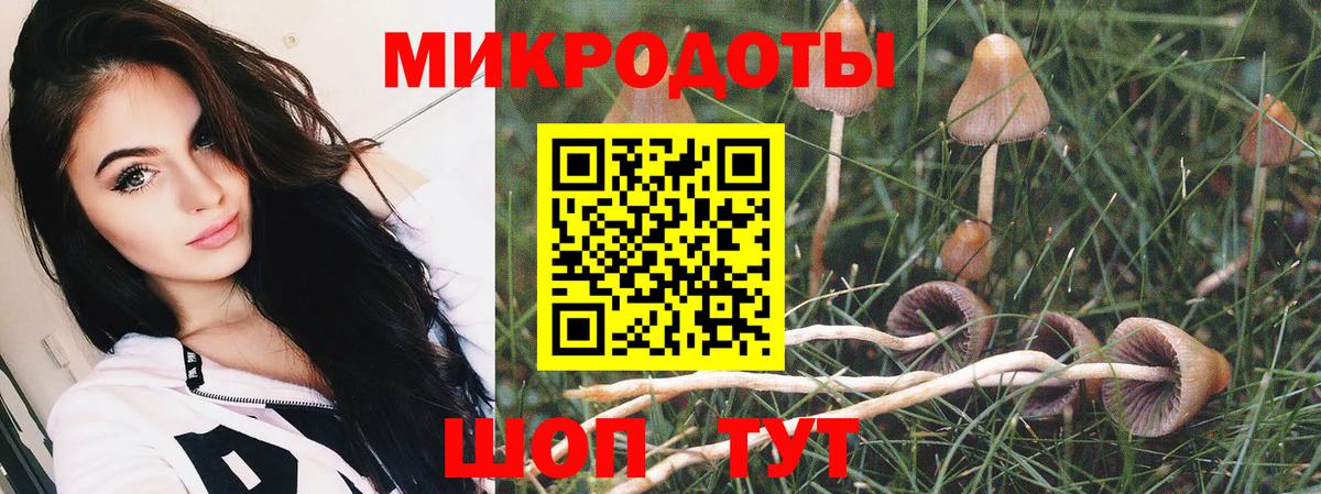 Галлюциногенные грибы MAGIC MUSHROOMS Амурск